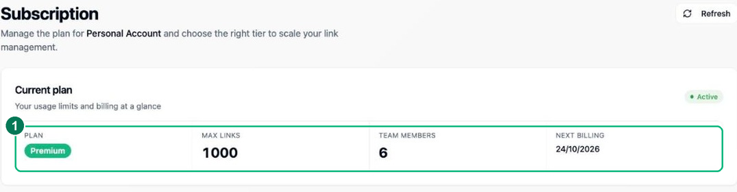 The Subscription page showing the current plan, limits and billing date